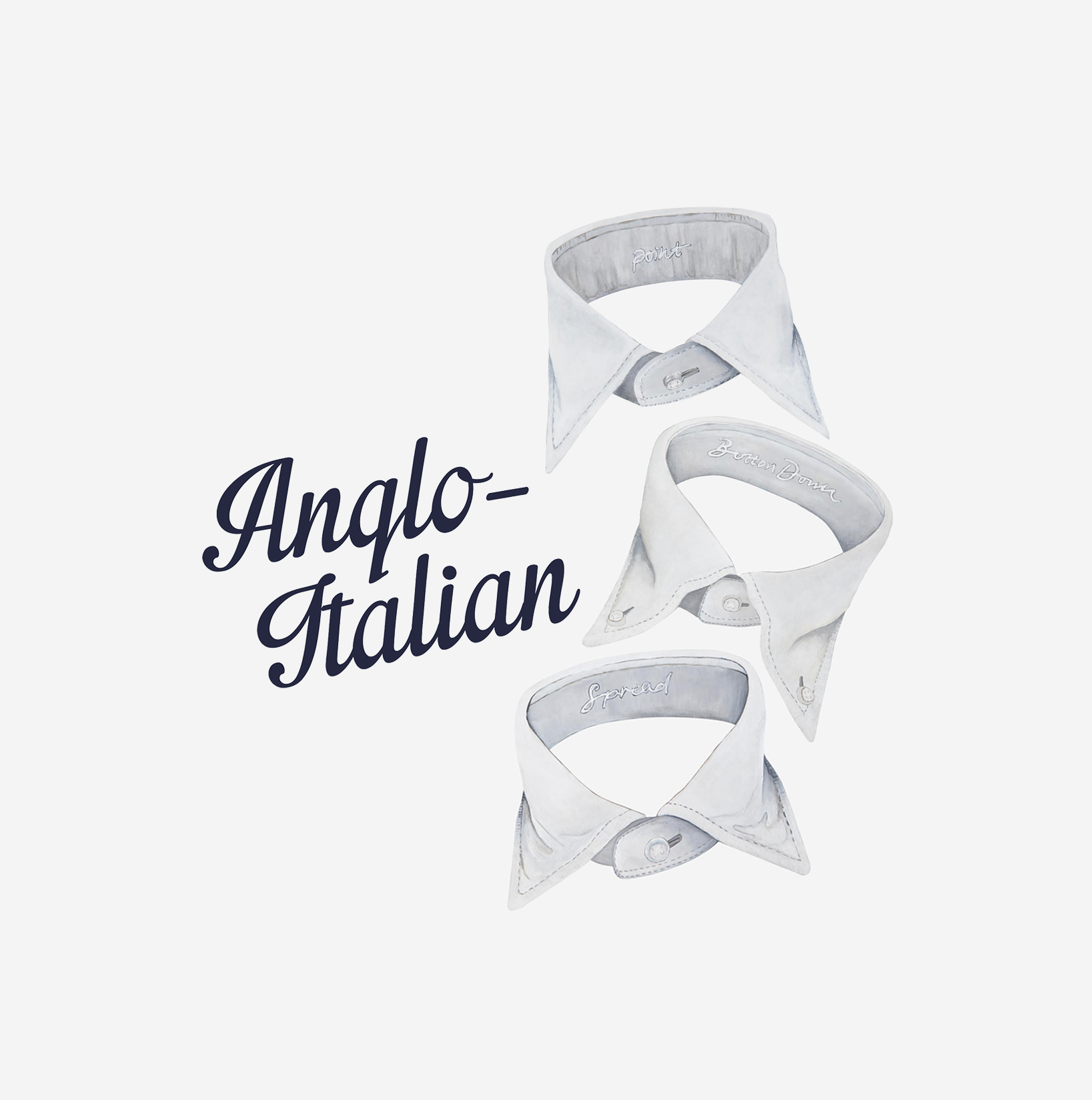 Our Collar Shapes